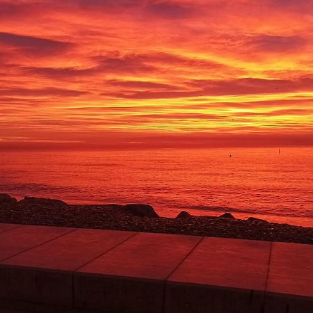 Bel Appartement Les Pieds Dans L'Eau Villeneuve-Loubet Exteriör bild