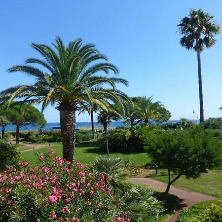 Bel Appartement Les Pieds Dans L'Eau Villeneuve-Loubet Exteriör bild