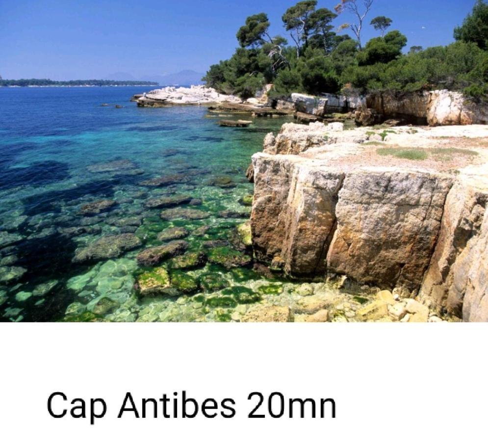 Bel Appartement Les Pieds Dans L'Eau Villeneuve-Loubet Exteriör bild