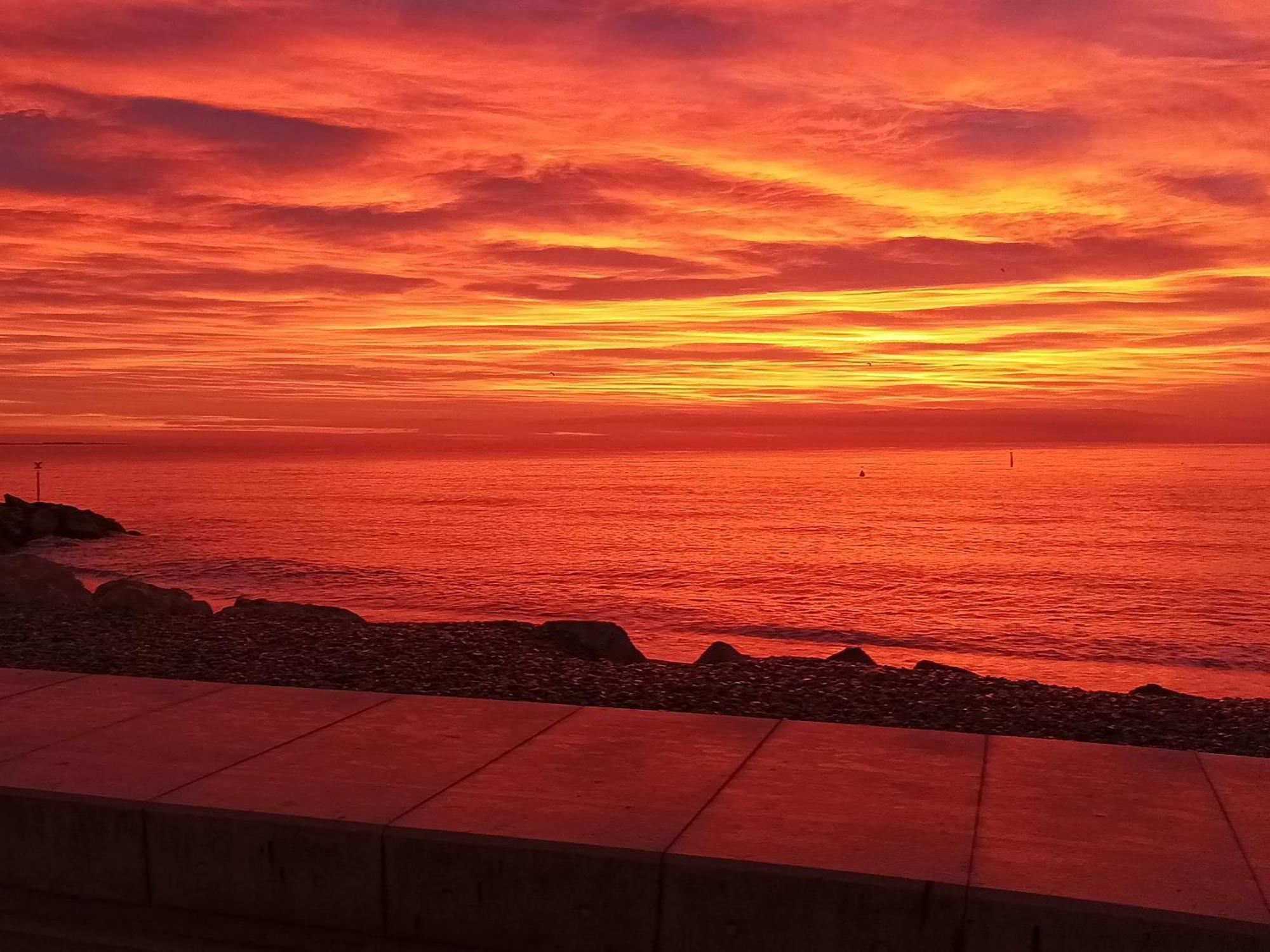 Bel Appartement Les Pieds Dans L'Eau Villeneuve-Loubet Exteriör bild