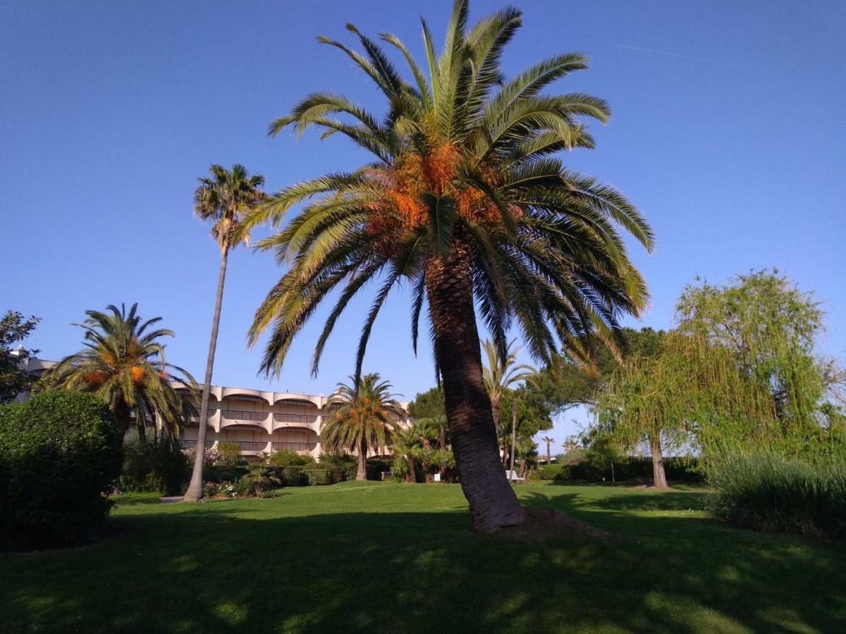 Bel Appartement Les Pieds Dans L'Eau Villeneuve-Loubet Exteriör bild